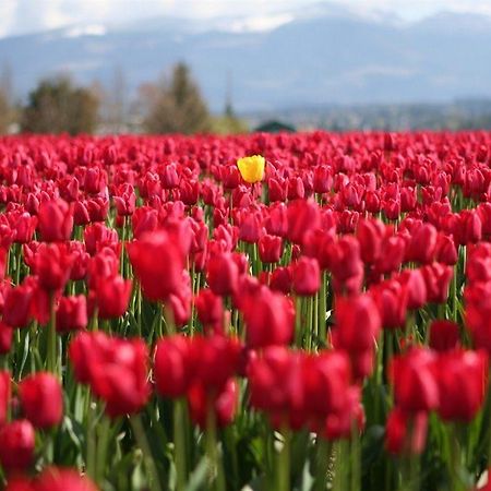 אנגלס Red Tulip Hotel מראה חיצוני תמונה